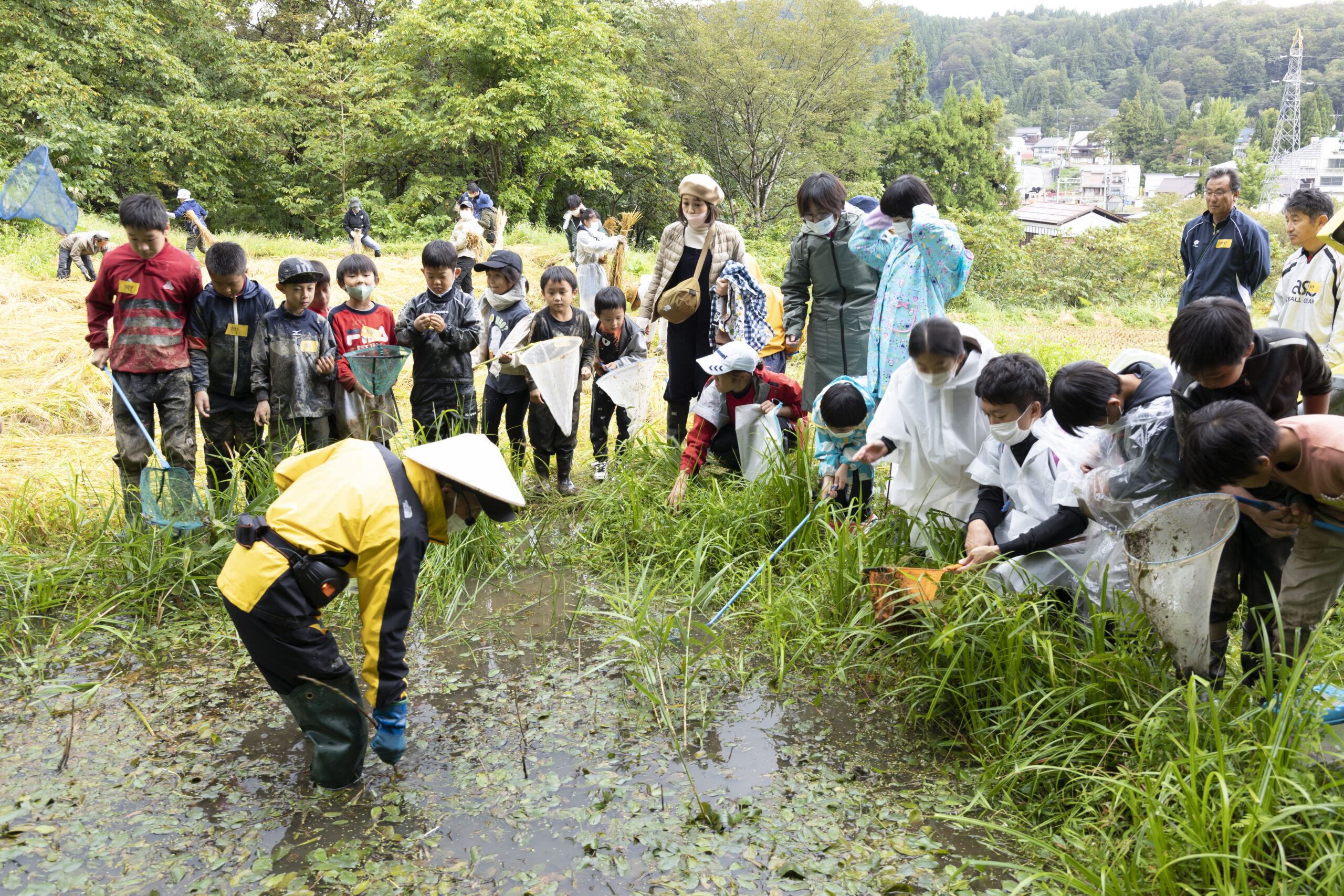 🐸イベント🐸】夏の里山をたのしむ1日 | まつだい「農舞台」フィールド