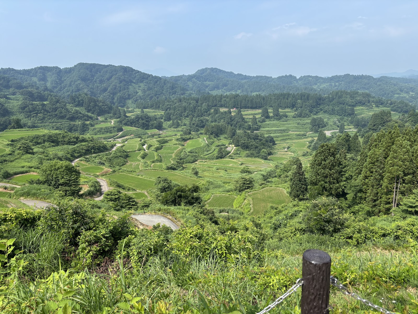 2025年7月のまつだい便り📨