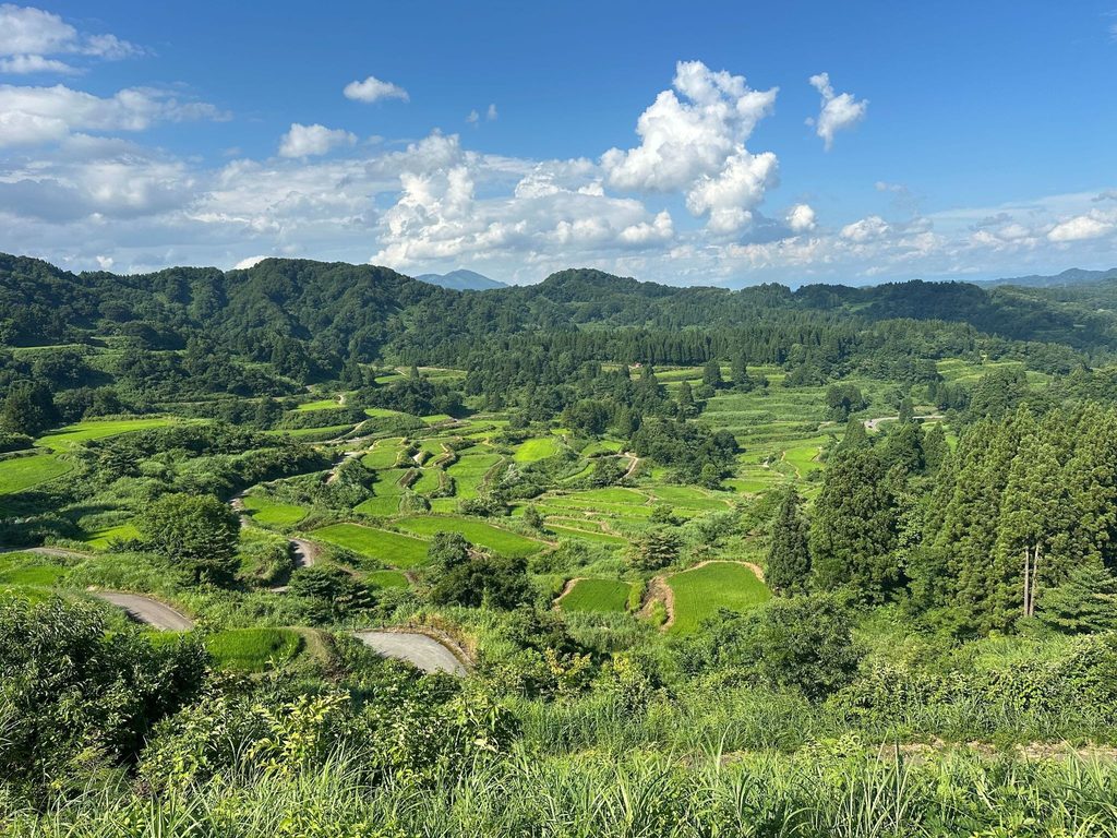 2025年8月のまつだい便り📨
