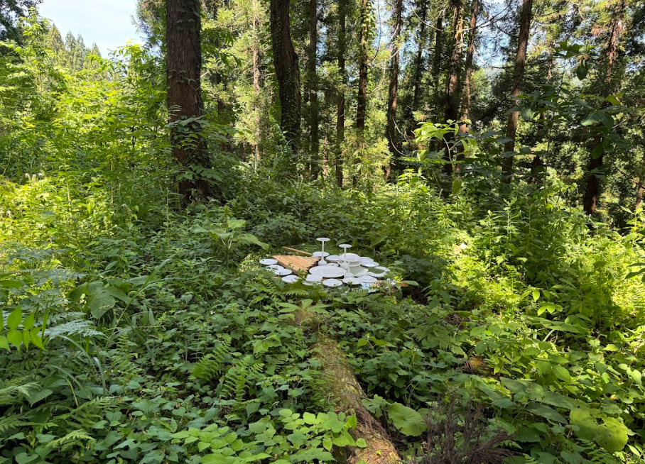 【企画展】あいまいな地図、明確なテリトリーのこと