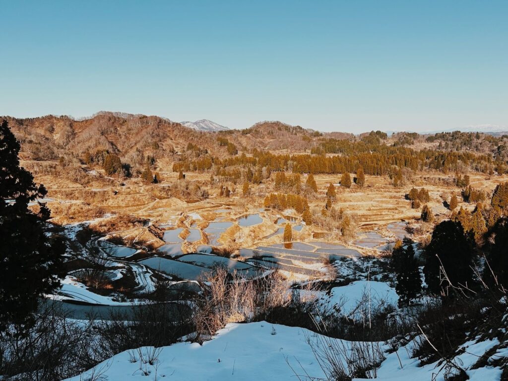 2026年1月のまつだい便り📨