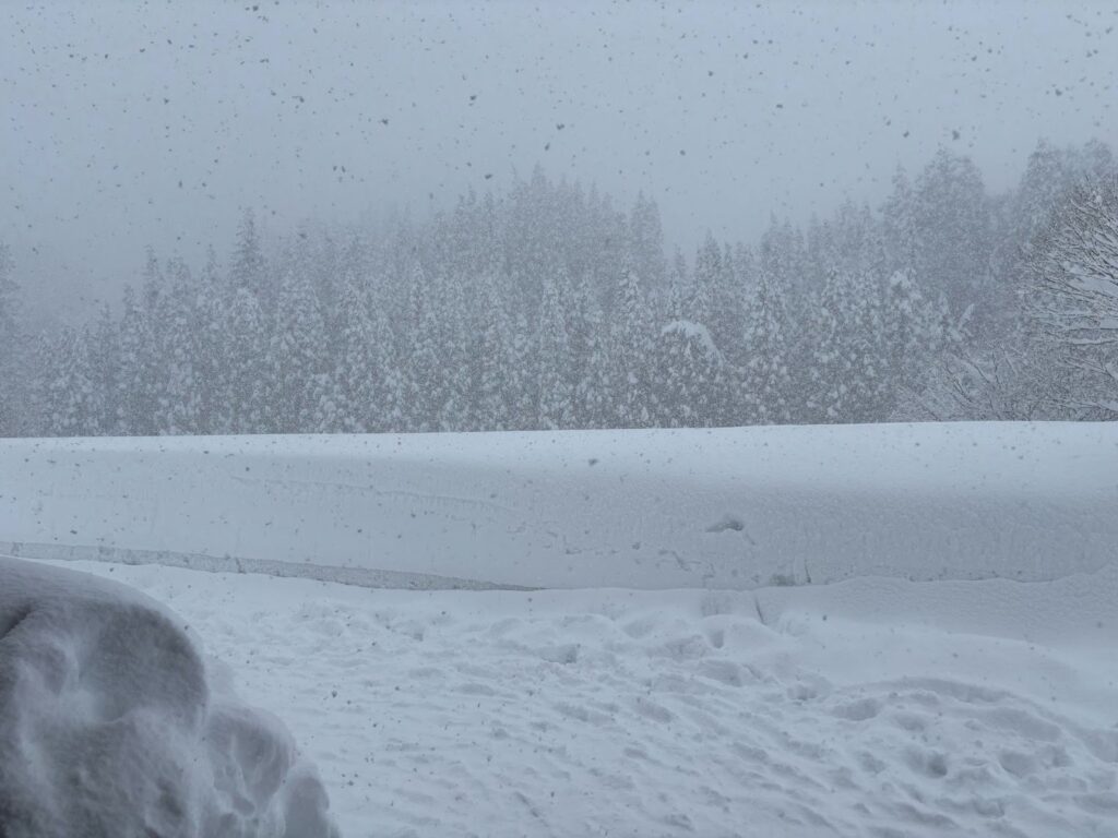 2026年2月のまつだい便り📨