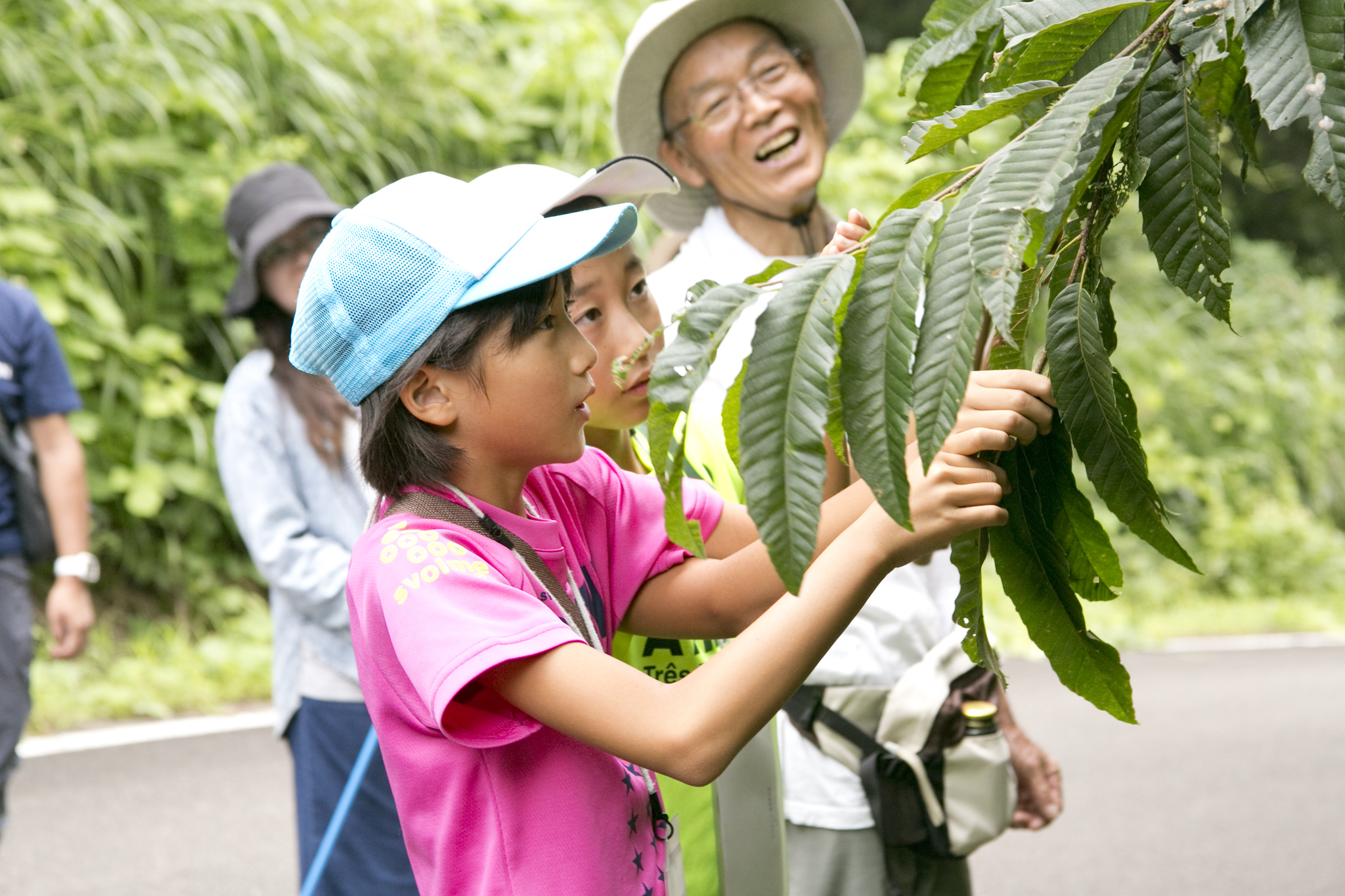 初夏の散策　～動き出した動植物を見つけて、害虫は追い払おう～