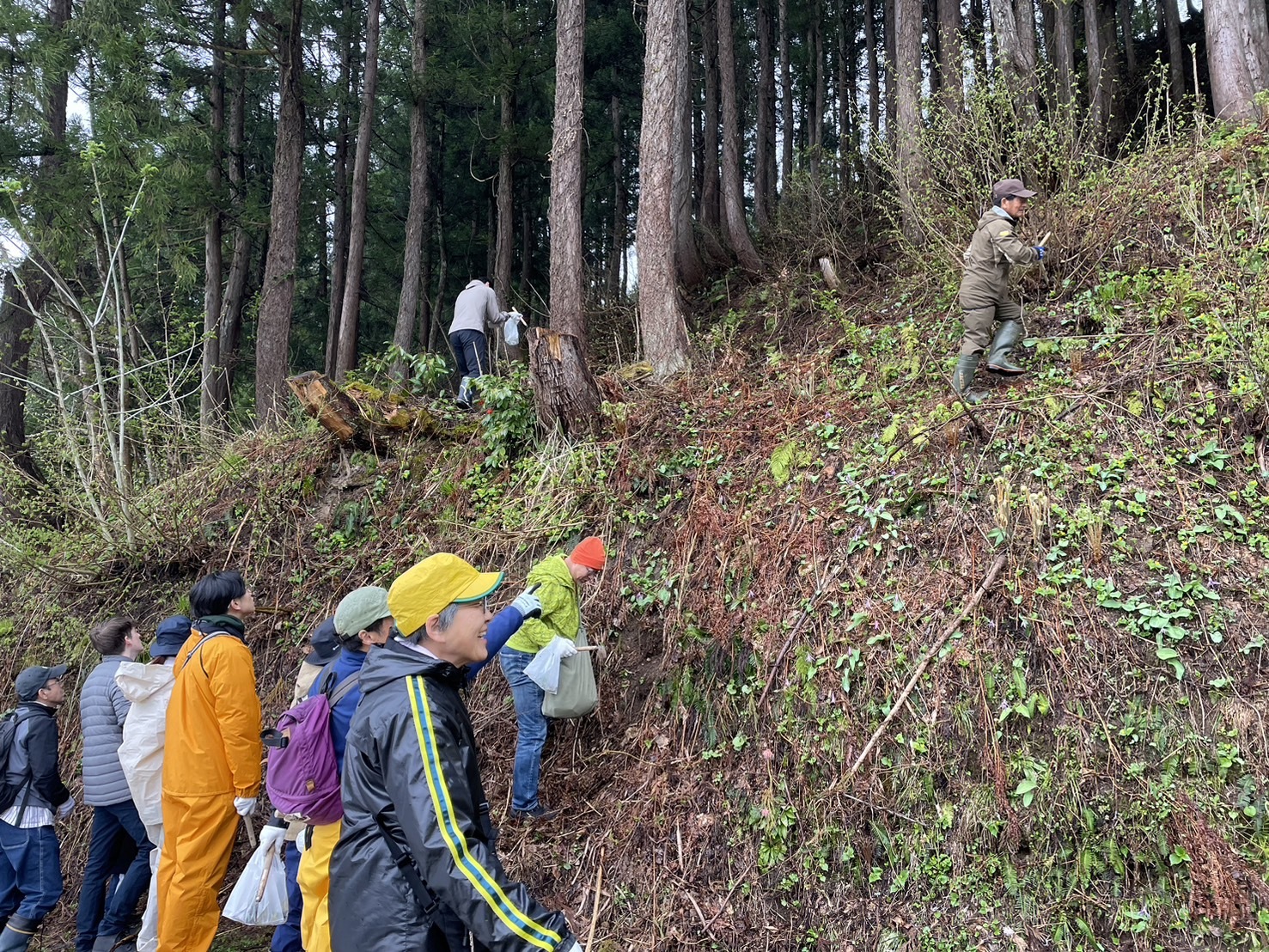 春の散策　～山菜を見つけて食べてみよう～