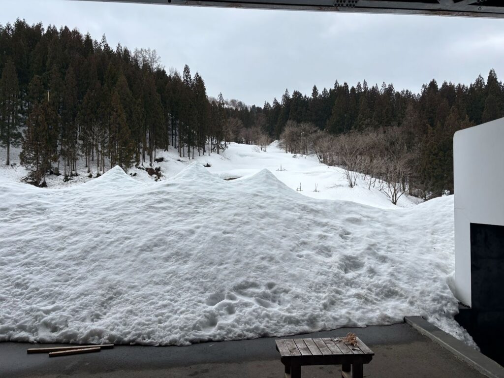 2026年3月のまつだい便り📨