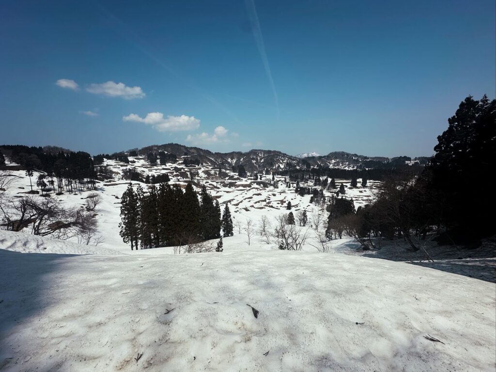 2026年4月のまつだい便り📨